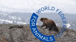 PRESSEMEDDELELSE Ny verdensomspaendende dyrevelfaerdsorganisation ser dagens lys